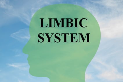 Limbisches System